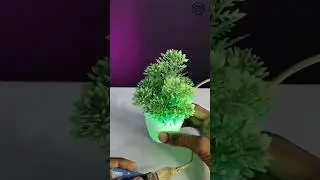 How To Make Colourful Flower Pot 😎 | Samar Experiment | #shorts #youtubeshorts #trending