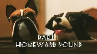 Homeward Pound &ldquo;Home sweet home&rdquo; | Schleich dog series