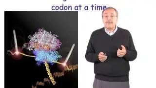 Carlos Bustamante: Single Molecule Manipulation in Biochemistry
