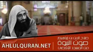 دروس سورة البقرة   الدرس 100 علم  الشجرة    YouTube