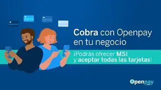 Con Openpay acepta todas las formas de pago.