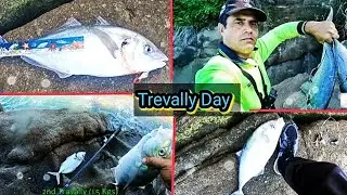 Trevally Day. 3.5 Kgs Trevally . Fishing adventure at Huia End Auckland.