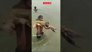 fishing fish by a  mallah boy in ganga river   #shorts #botanicalworldbyshabeer
