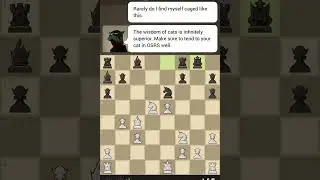 I BEAT THE BOB THE CAT BOT ON THE CHESS.COM!!!! 🤯💀😱 #chess #chessbot
