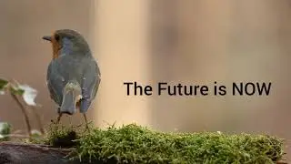 Change our inside, waste no time to change the outside world