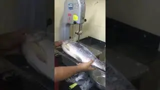 Fast Fish Cutting Compilation | Fish Cutting Skills | Vlog 7