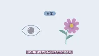 Fixed Lens vs. Light Adjustable Lens&trade; (LAL&trade;) Which Is Right for You? | Chinese Subtitles