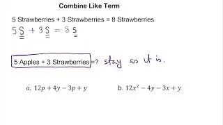 Combine Like Terms