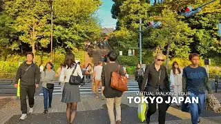 Tokyo Japan, Walking Tour Ueno, Ueno Park, Taito City, Travel, 4K