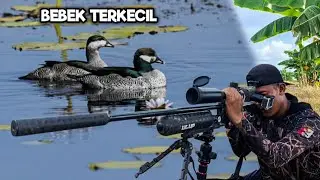 LONG RANGE ‼️BERBURU BEBEK TERKECIL DI DUNIA PAKAI SPR SLUG 15,3 GR