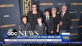 Brad Pitt Cleared in Child Services Investigation