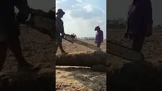 Machine Chainsaw #chainsaw #stihl #husquvarna #wood #machine #shorts #wheelsaw #youtubeshorts #viral