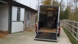 Ardito arriva al Rifugio degli Asinelli