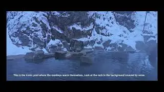 Jigokudani Monkey Park - Nagano - Japan - Winter -December 2025