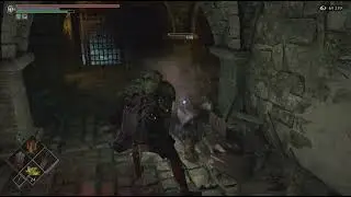 Rescatando a biorr mundo 1-3 Demon's souls
