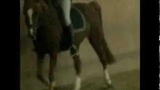 Gaitano & Betty