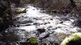 Yale Creek Mining Claim