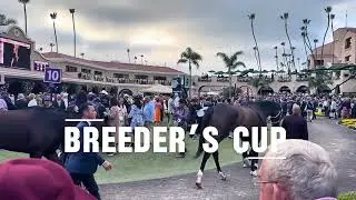 Breeders Cup: Experience the BEST Horse Racing Event in 2025 | San Diego Raw Travel 4K