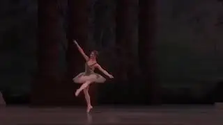 SLEEPING BEAUTY - Fairy of The Woodland Glade (Claire Calvert - Royal Ballet)