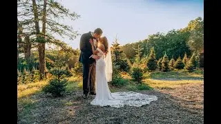 A Year of Love | Celebrating Our Couples | Golden Thread Cinematography Wedding Film