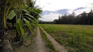 4.5 rai/7200m2 land plot for sale in Pranburi ideal for simple farm & enjoying the quiet life! 4.41m