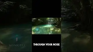 This Hawaiian Breathing Trick Stops Anxiety Fast #breathwork #stressrelief #wellness