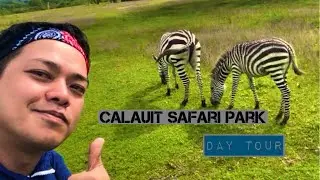 Calauit Safari Park   Travel Vlog '04