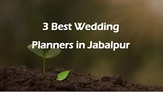 3 Best Wedding planners in Jabalpur, Madhya Pradesh 2025 | Wedding coordinators