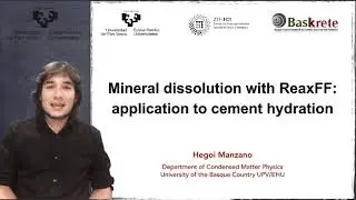 Mineral dissolution with ReaxFF: application to cement hydration