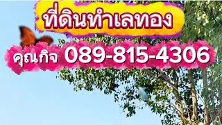 ใครเข้ามาชมแล้ว ถ้าชอบถูกใจ ฝากพิมพ์ ชอบ ให้ผมบ้างน่ะครับ 🙏🙏🙏 #บอยเศรษฐีนาคราช