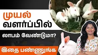 பண்ணையில் முயல் வளர்க்க License வேண்டுமா? | Rabbit Farming License Requirements Explained in Tamil