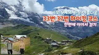 스위스에서 가장 아름다운 33번 37번 하이킹 코스 한번에 걷기