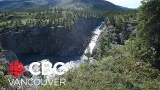 What happens to your brain when you spend time in nature | Our Vancouver