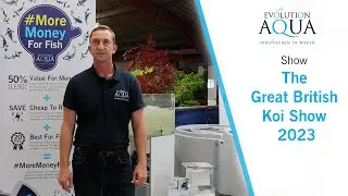 Evolution Aqua at The Great British Koi Show 2023