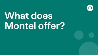 What does Montel offer?
