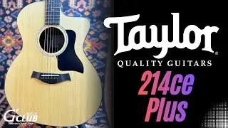 【試奏動画】Taylor 214ce Plus【クロサワ楽器 G-CLUB UMEDA】