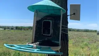 NETVUE Birdfy Pro Bird Feeder w Camera,  Auto Capture Videos/Motion Detection #amazon