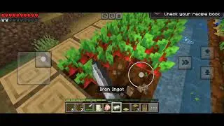 Virat minecraft 