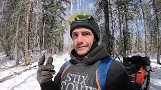 How to Bait Bears!