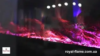 НАСТЕННЫЙ ЭЛЕКТРОКАМИН ROYAL SHINE EF