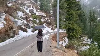Live snow fall.. No crowd.. No traffic 😄
