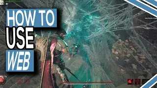 What To Use On The Strange Web In The Asylum In Remnant 2