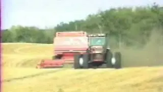 Durum Wheat Harvest with CIH 1682 Combine