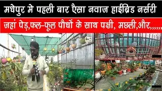मधेपुर मे पहली बार एैसा नवाज हाईब्रिड नर्सरी जहां पेड़,फल-फूल पौधों के साथ पक्षी, मछली,और,,,,,,