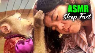 Monkey Grooming ASMR That Actually Works | Judy's Premium Scalp Massage