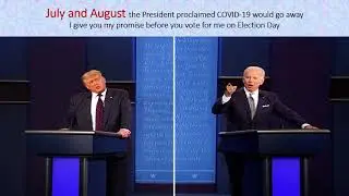 LYSF MOVEMENT America's Covid-19 in 2020
