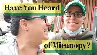 MIcanopy Florida Downtown Walk Through ⁞ Mosswood Farm Store & Bakehouse ⁞ S3E33