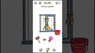 Brain Out Level 39 Solutions