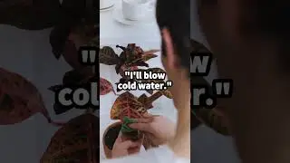 [K-wise saying] 