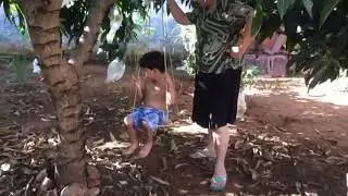 Arthur ferias - visitando os avos paternos